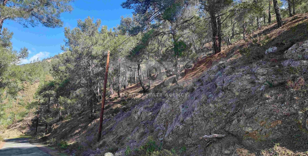 Exclusive Residential Land in Lush Moniatis – 21,690 m² at Only €59/m² – Stunning Investment