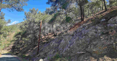 Exclusive Residential Land in Lush Moniatis – 21,690 m² at Only €59/m² – Stunning Investment