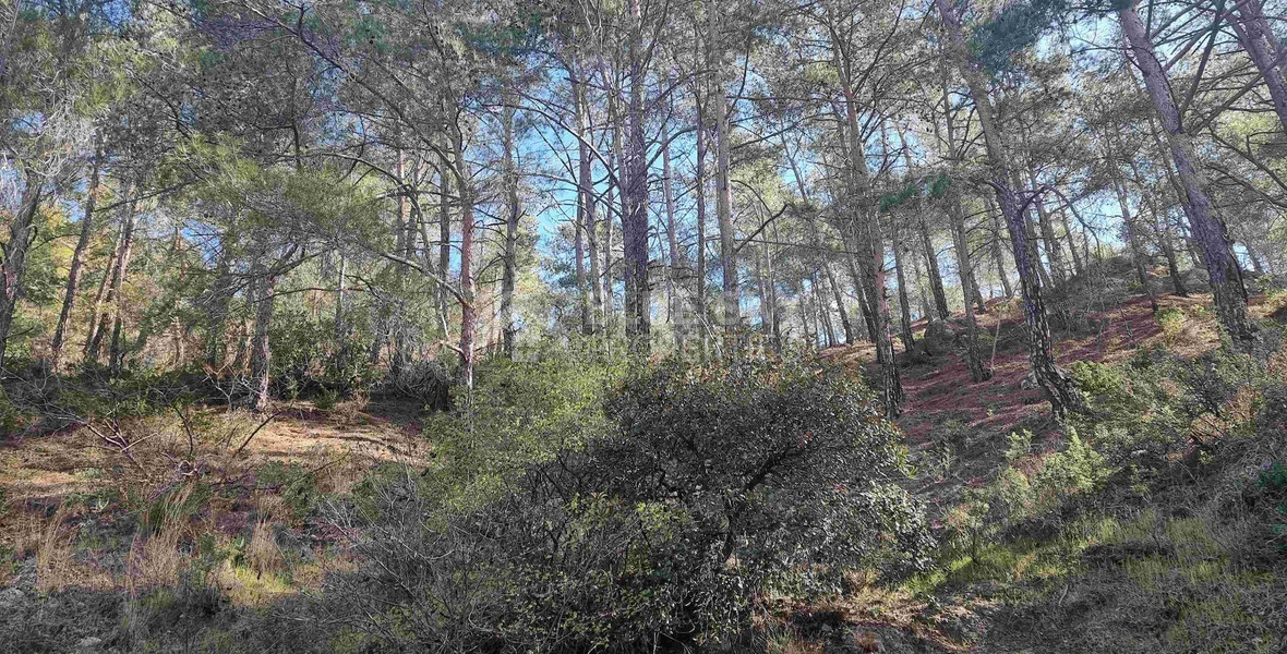 Moniatis Luxury Estate Land for Sale – 21,690 sq.m. Private Hillside Compound Near Limassol