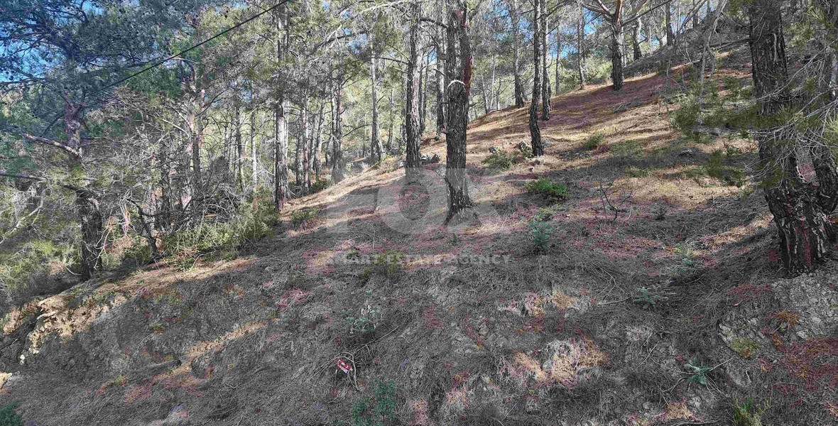 Exclusive Residential Land in Lush Moniatis – 21,690 m² at Only €59/m² – Stunning Investment