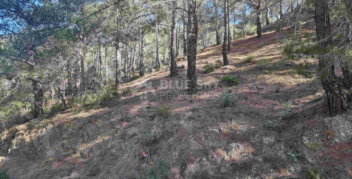 Moniatis Luxury Estate Land for Sale – 21,690 sq.m. Private Hillside Compound Near Limassol