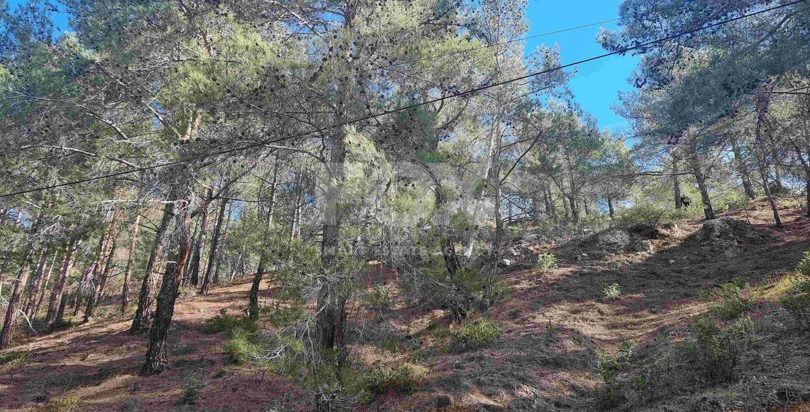Exclusive Residential Land in Lush Moniatis – 21,690 m² at Only €59/m² – Stunning Investment