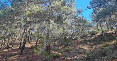 Exclusive Residential Land in Lush Moniatis – 21,690 m² at Only €59/m² – Stunning Investment