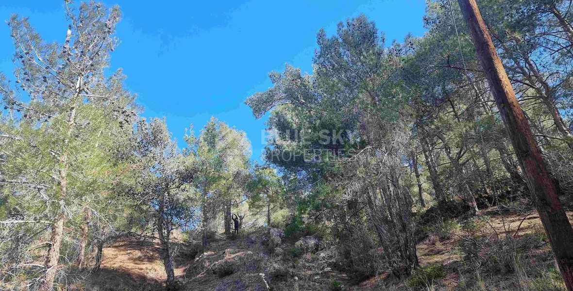 Moniatis Luxury Estate Land for Sale – 21,690 sq.m. Private Hillside Compound Near Limassol