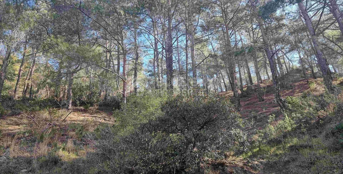 Moniatis Luxury Estate Land for Sale – 21,690 sq.m. Private Hillside Compound Near Limassol