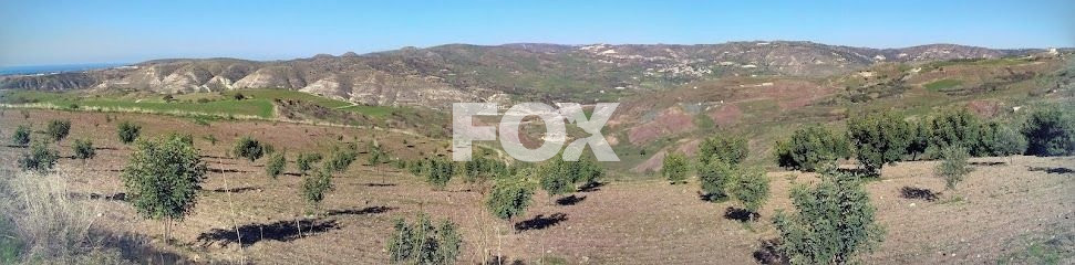 Plot of land for sale 6021 m² in Choletria, Paphos, Cyprus