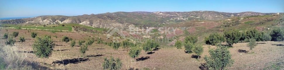 Agricultural field in Choletria, Paphos