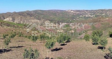 Agricultural field in Choletria, Paphos