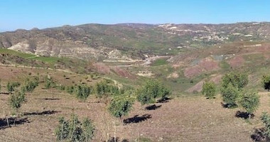 Agricultural field in Choletria, Paphos