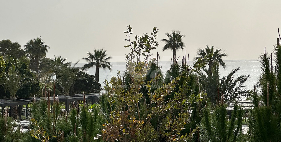 FOR RENT LUXURY FIVE BEDROOM VILLA 20 METRES FROM THE SEA IN THE AMATHOUNDA AREA OF LIMASSOL