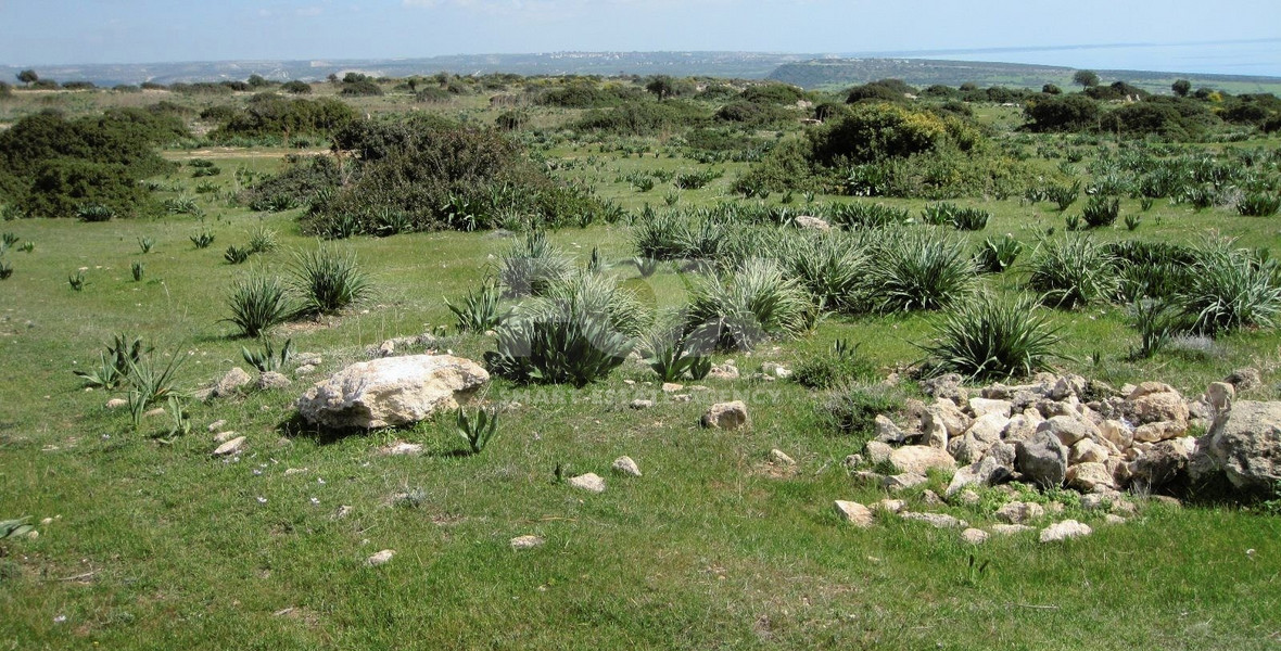 LAND FOR SALE IN PISSOURI VILLAGE, LIMASSOL