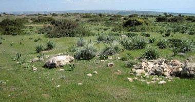 LAND FOR SALE IN PISSOURI VILLAGE, LIMASSOL