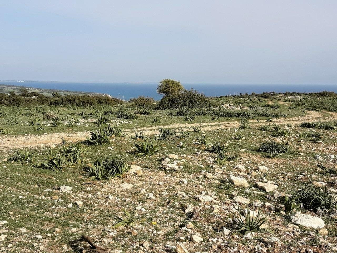 Grundstück  Pissouri Municipality, Zypern
