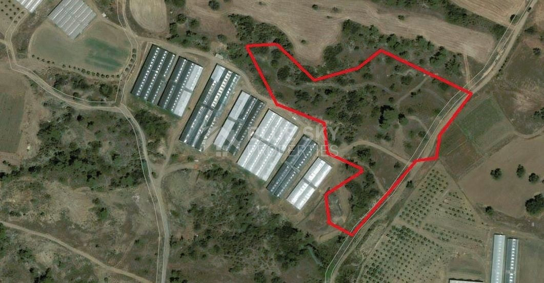 AGRICULTURE LAND FOR SALE IN PAREKKLISIA, LIMASSOL