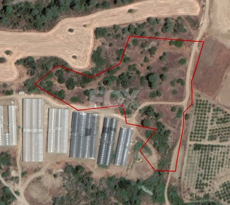 AGRICULTURE LAND FOR SALE IN PAREKKLISIA, LIMASSOL