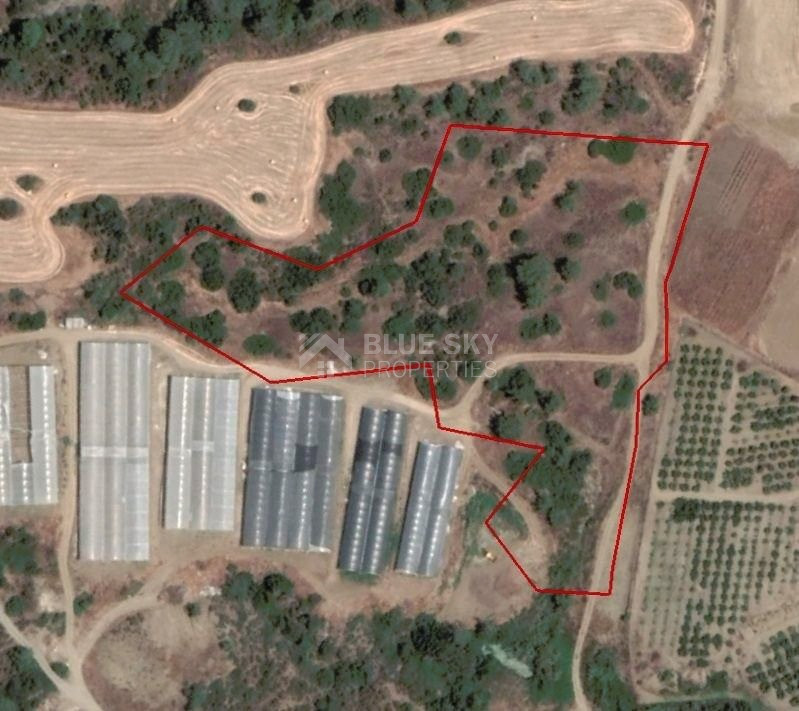 AGRICULTURE LAND FOR SALE IN PAREKKLISIA, LIMASSOL