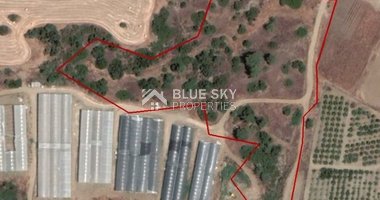 AGRICULTURE LAND FOR SALE IN PAREKKLISIA, LIMASSOL