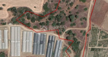 AGRICULTURE LAND FOR SALE IN PAREKKLISIA, LIMASSOL