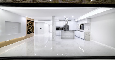 LUXURY TOP FLOOR SEA VIEW APARTMENT FOR RENT IN POTAMOS GERMASOGIAS