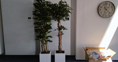 Office for rent in Agios Nikolaos, Limassol