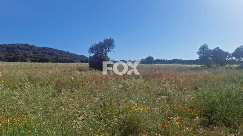 Plot of land for sale  in Zygi, Limassol, Cyprus