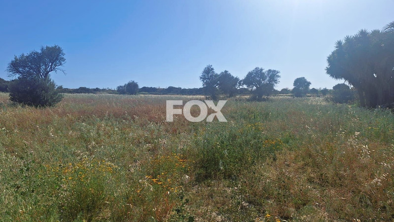Plot of land for sale  in Zygi, Limassol, Cyprus
