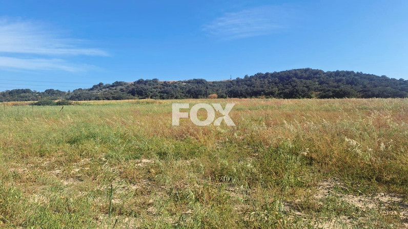 Plot of land for sale  in Zygi, Limassol, Cyprus
