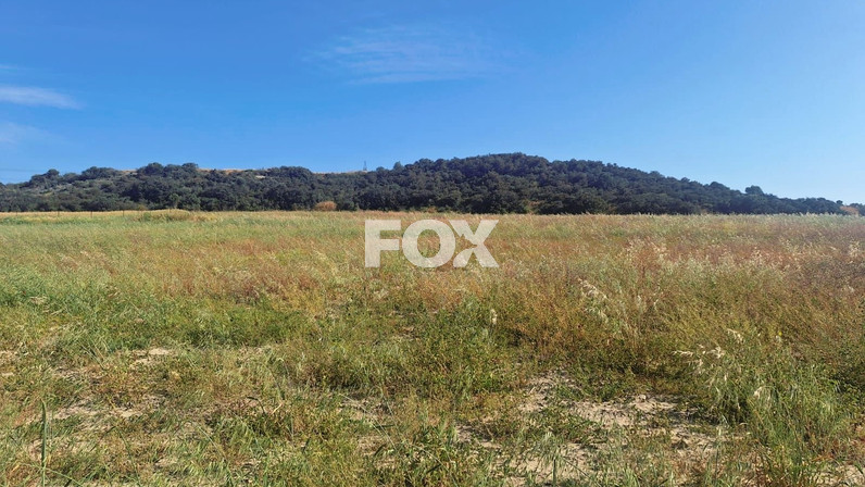 Plot of land for sale  in Zygi, Limassol, Cyprus