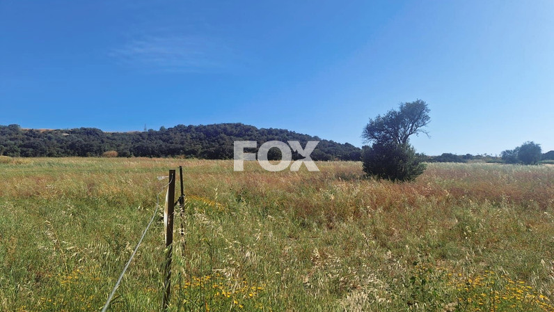 Plot of land for sale  in Zygi, Limassol, Cyprus