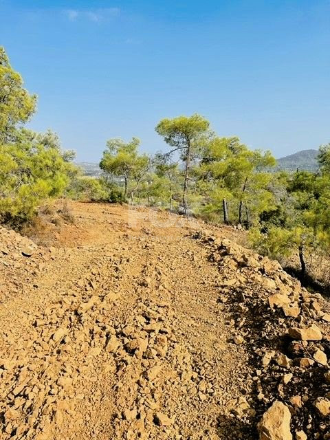 Land for sale in Kornos-Larnaca