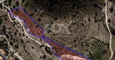 Mixed used land in Nata (includes a traditional cottage)