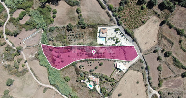 Tourist field in Drousia , Paphos