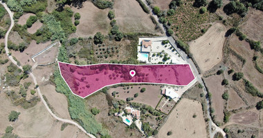 Tourist field in Drousia , Paphos