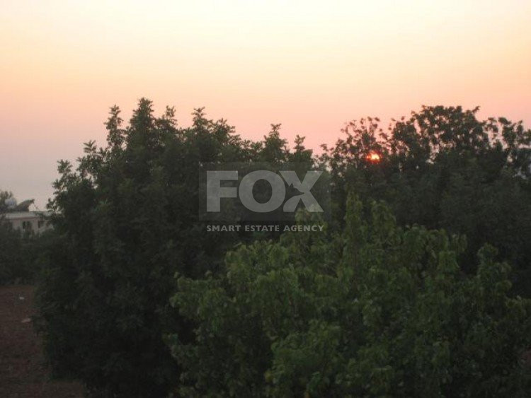 Plot For Sale In Mesogi Paphos Cyprus