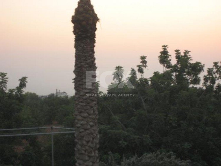 Plot For Sale In Mesogi Paphos Cyprus