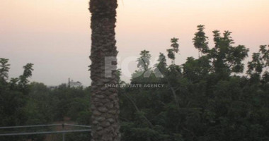Plot For Sale In Mesogi Paphos Cyprus