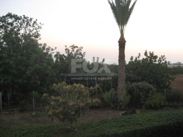 Plot For Sale In Mesogi Paphos Cyprus