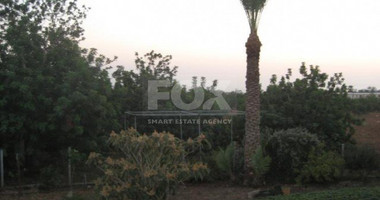 Plot For Sale In Mesogi Paphos Cyprus