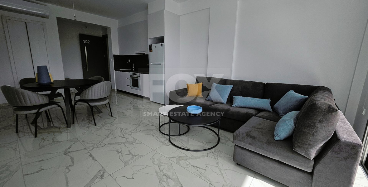 Modern Fully Furnished One Bedroom Apartment For Rent in Zakaki