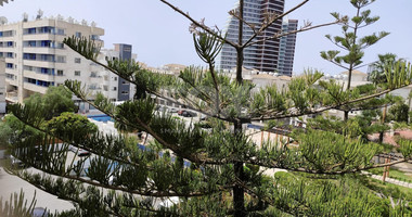 Studio for rent in Mouttagiaka (tourist area) with common swimming pool