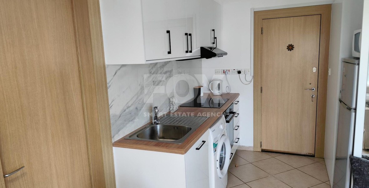 Studio for rent in Mouttagiaka (tourist area) with common swimming pool