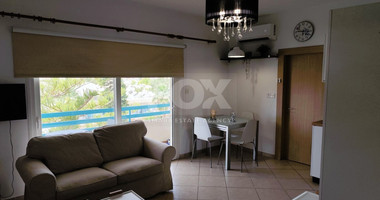 Studio for rent in Mouttagiaka (tourist area) with common swimming pool