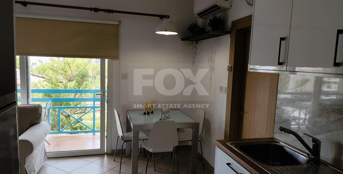 Studio for rent in Mouttagiaka (tourist area) with common swimming pool