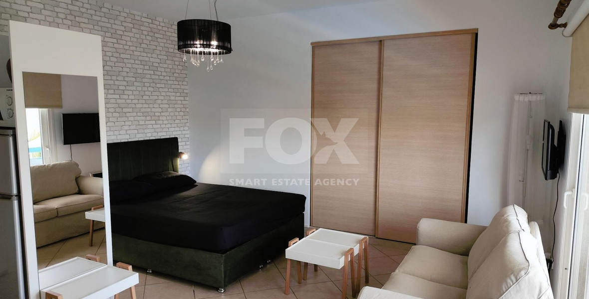 Studio for rent in Mouttagiaka (tourist area) with common swimming pool