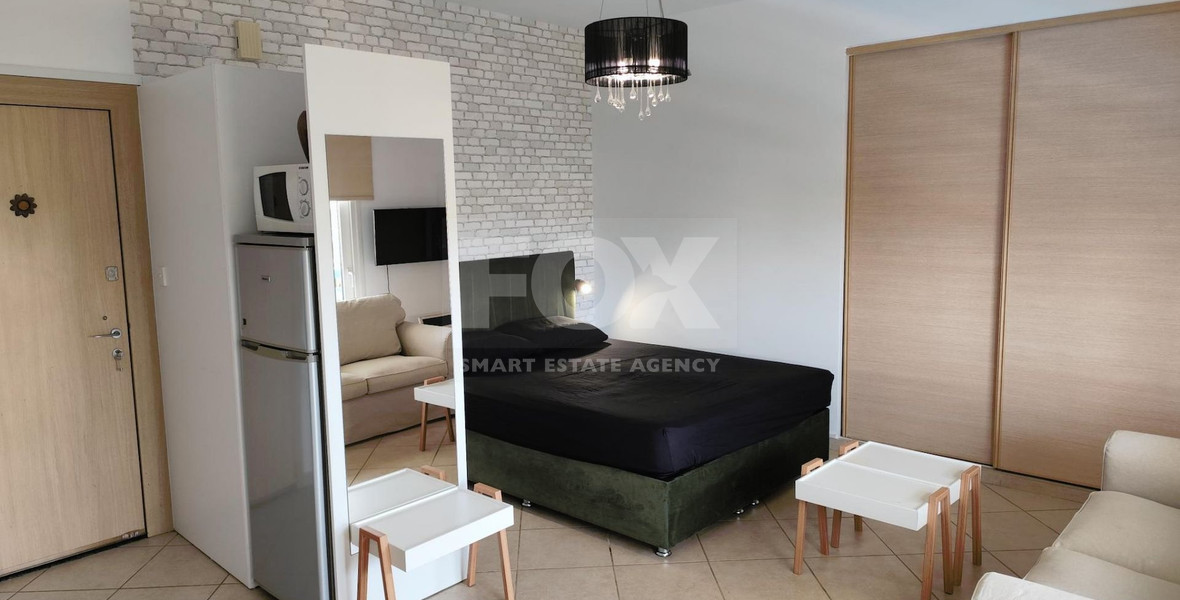 Studio for rent in Mouttagiaka (tourist area) with common swimming pool