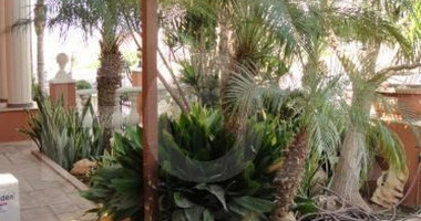 4 Bed House For Sale In Agios Athanasios Limassol Cyprus