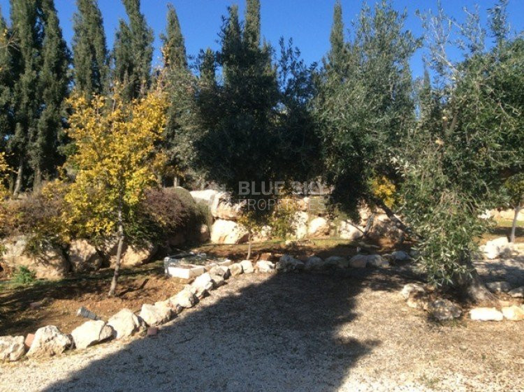 5 Bed House For Sale In Parekklisia Limassol Cyprus