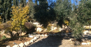 5 Bed House For Sale In Parekklisia Limassol Cyprus