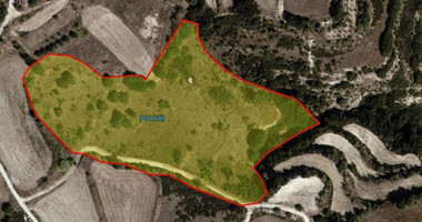 Agricultural land located in Polemi, Paphos, Cyprus