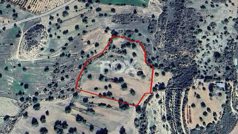 Plot of land for sale 21043 m² in Anogyra, Limassol, Cyprus